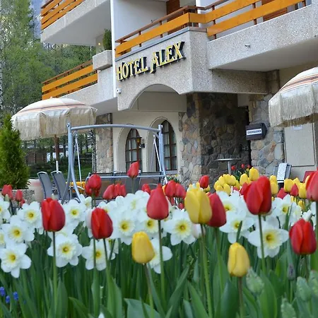 Alex Ξενοδοχείο Leukerbad