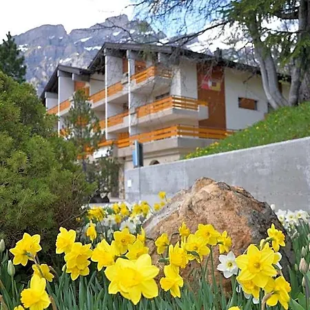 Hotel Alex 3*
