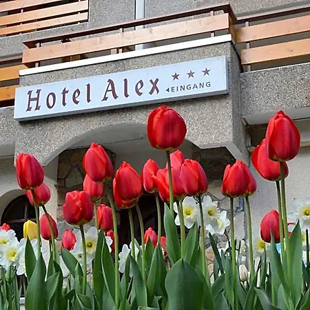 Hotel Alex
