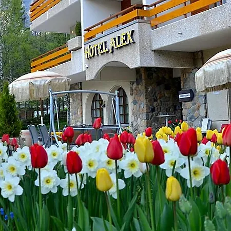 Hotel Alex