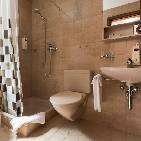 Отель Alex Лойкербад