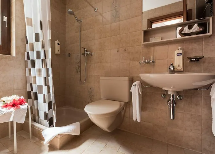 Hotell Alex Leukerbad